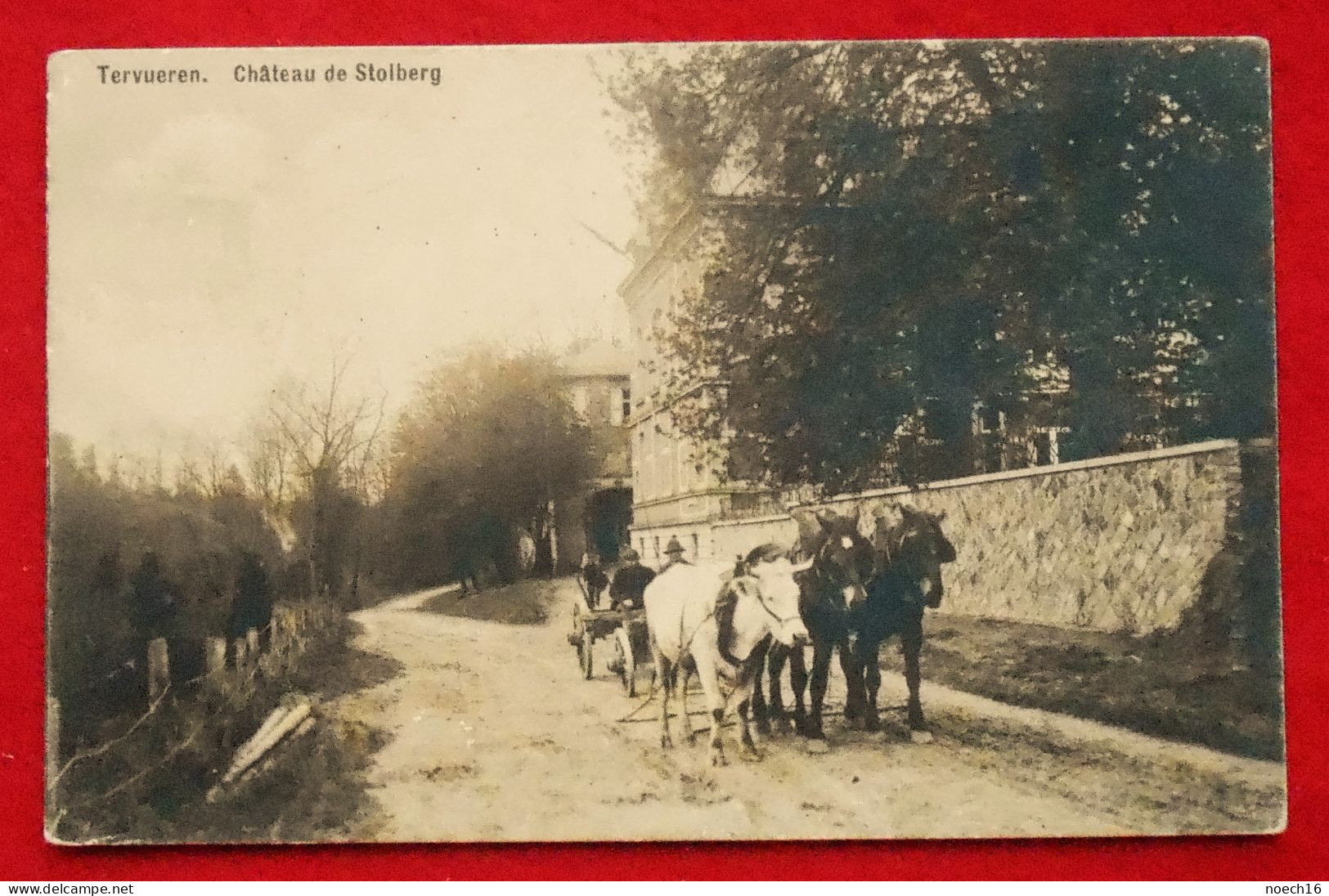 CPA 1914 Tervueren Château De Stolberg. Attelage, Boeuf, Chevaux - Tervuren