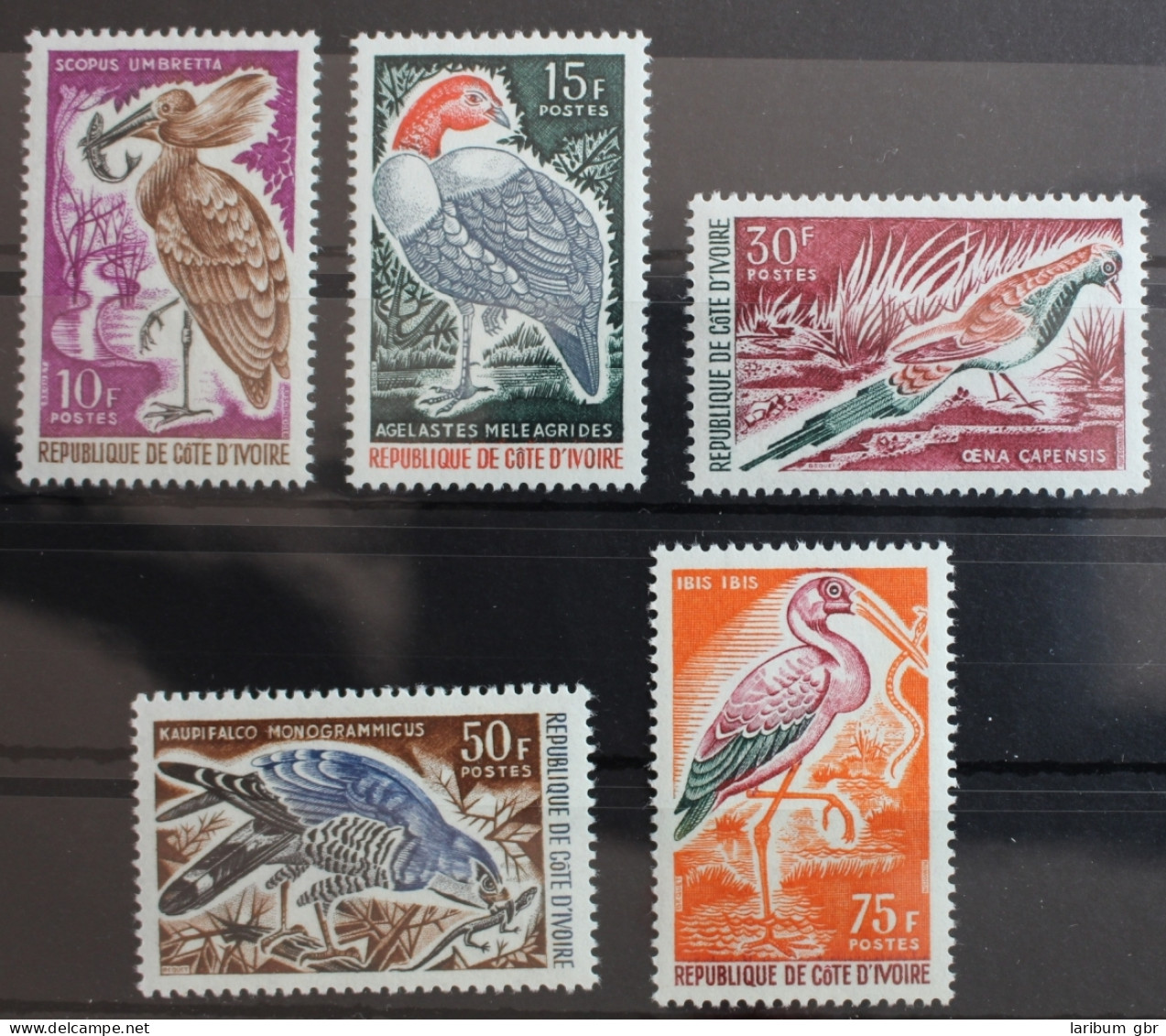 Elfenbeinküste 286-290 Postfrisch Vögel #RK251 - Côte D'Ivoire (1960-...)