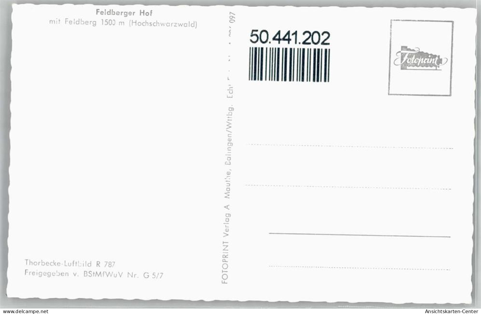 50441202 - Feldberg , Schwarzwald - Feldberg