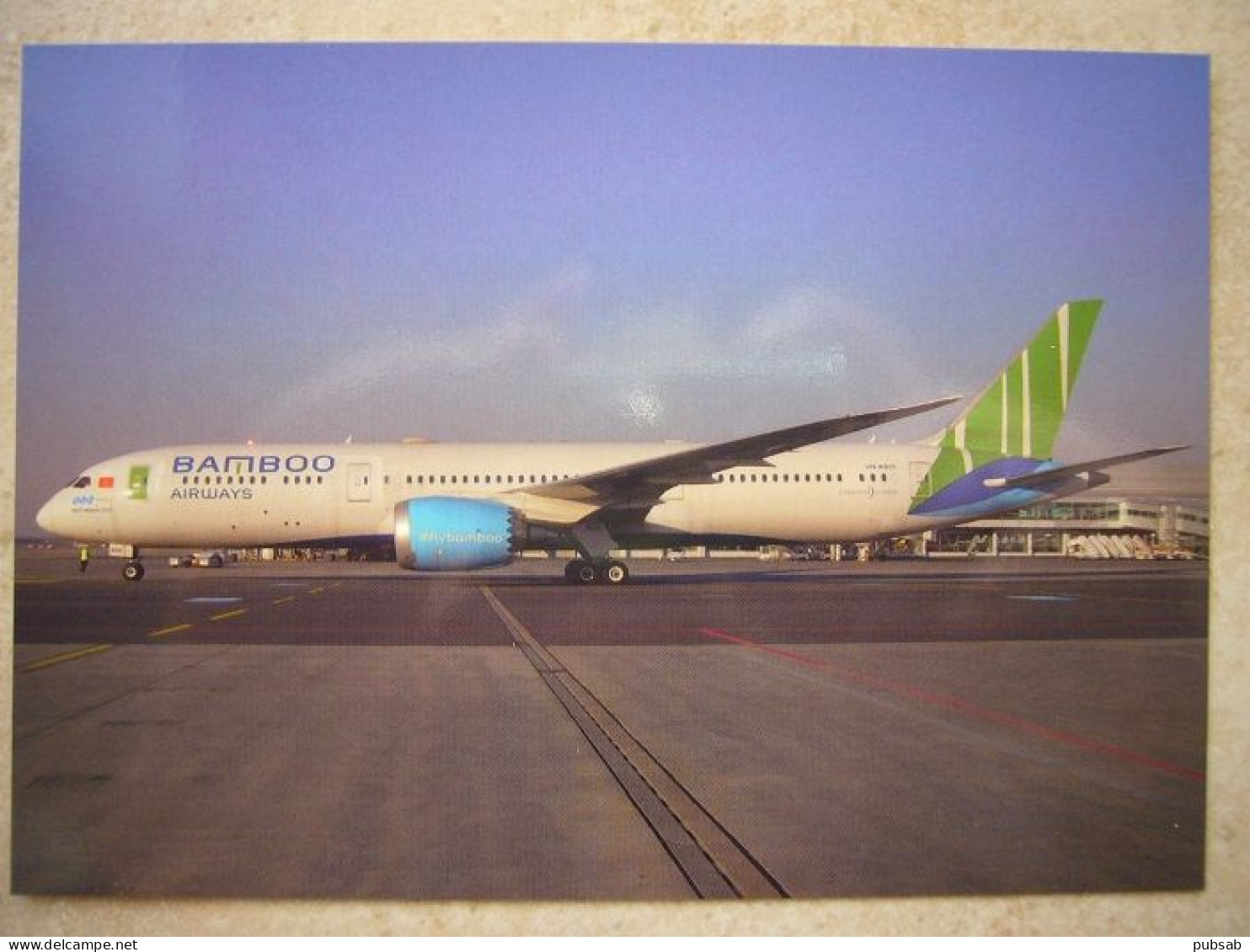 Avion / Airplane / BAMBOO AIRWAYS / Boeing B787-9 Dreamliner / Registered As VN-A829 - 1946-....: Era Moderna