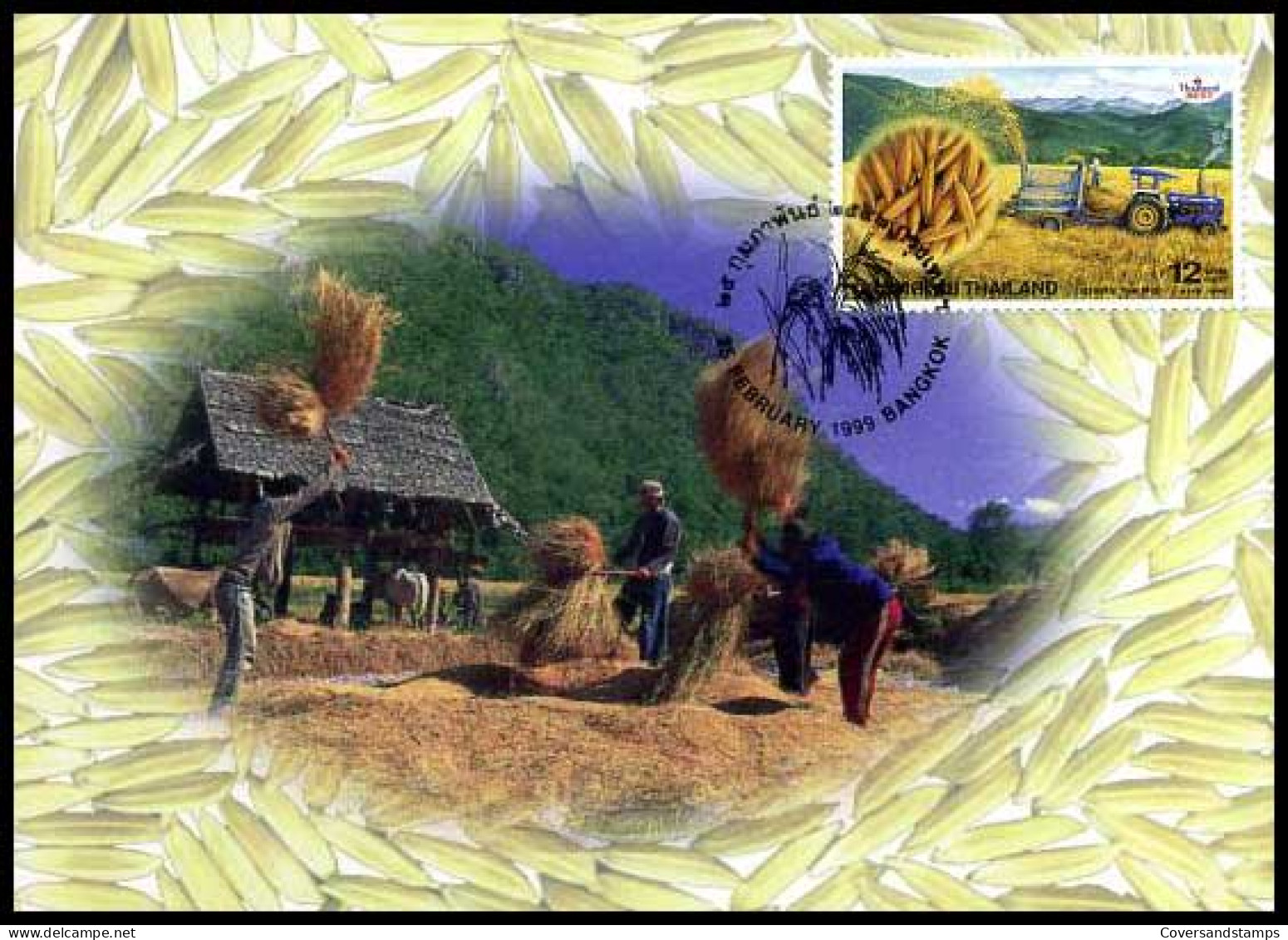 Thailand - Postkaart - Thai Rice                  - Thailand