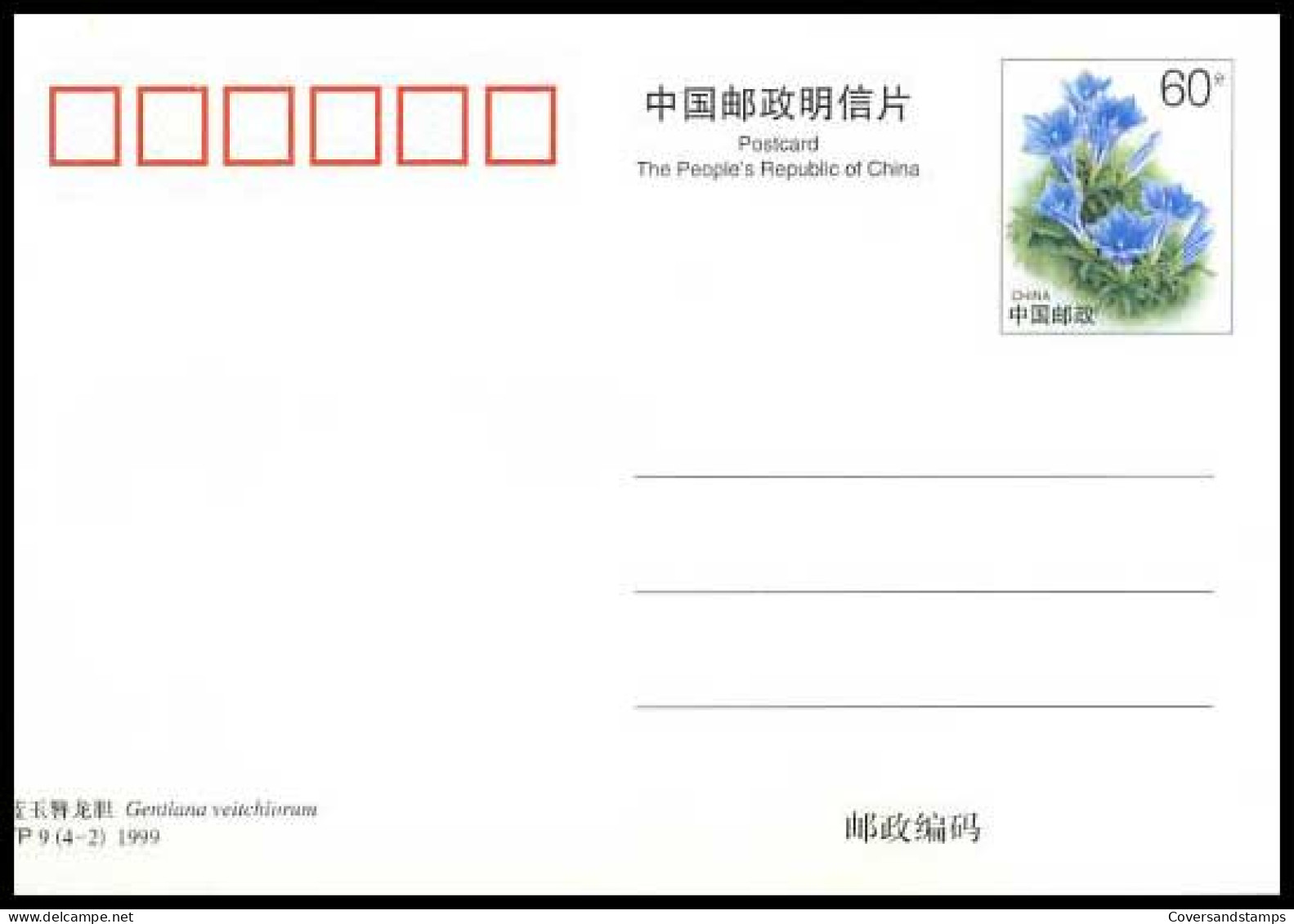 China - Postkaart - Gentiana Veitchiorum              - Cartoline Maximum