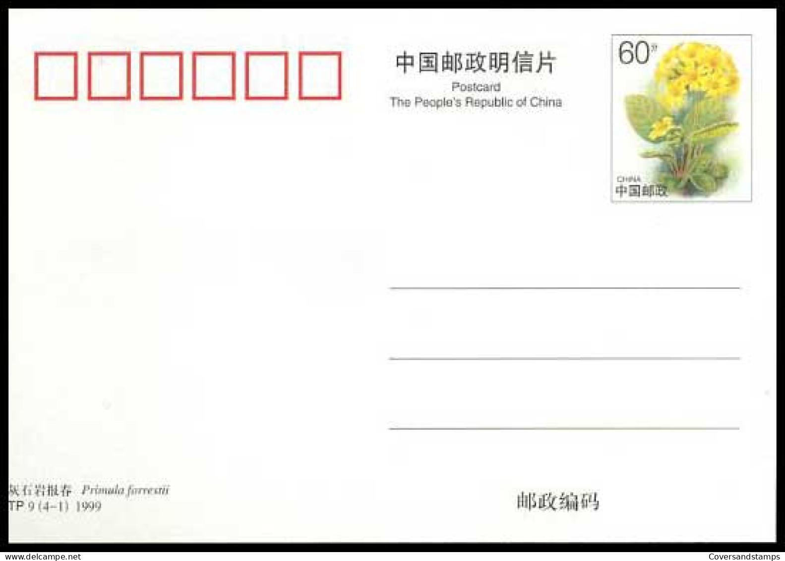 China - Postkaart - Primula Forrestii              - Tarjetas – Máxima