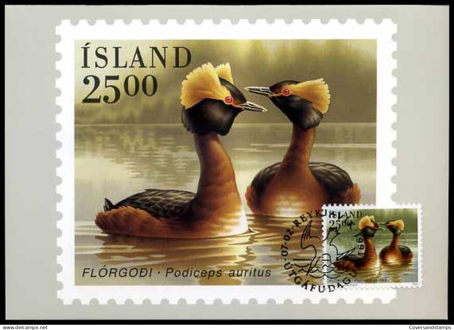 IJsland - Maximumkaart -  Podiceps Auritus        - Cartes-maximum