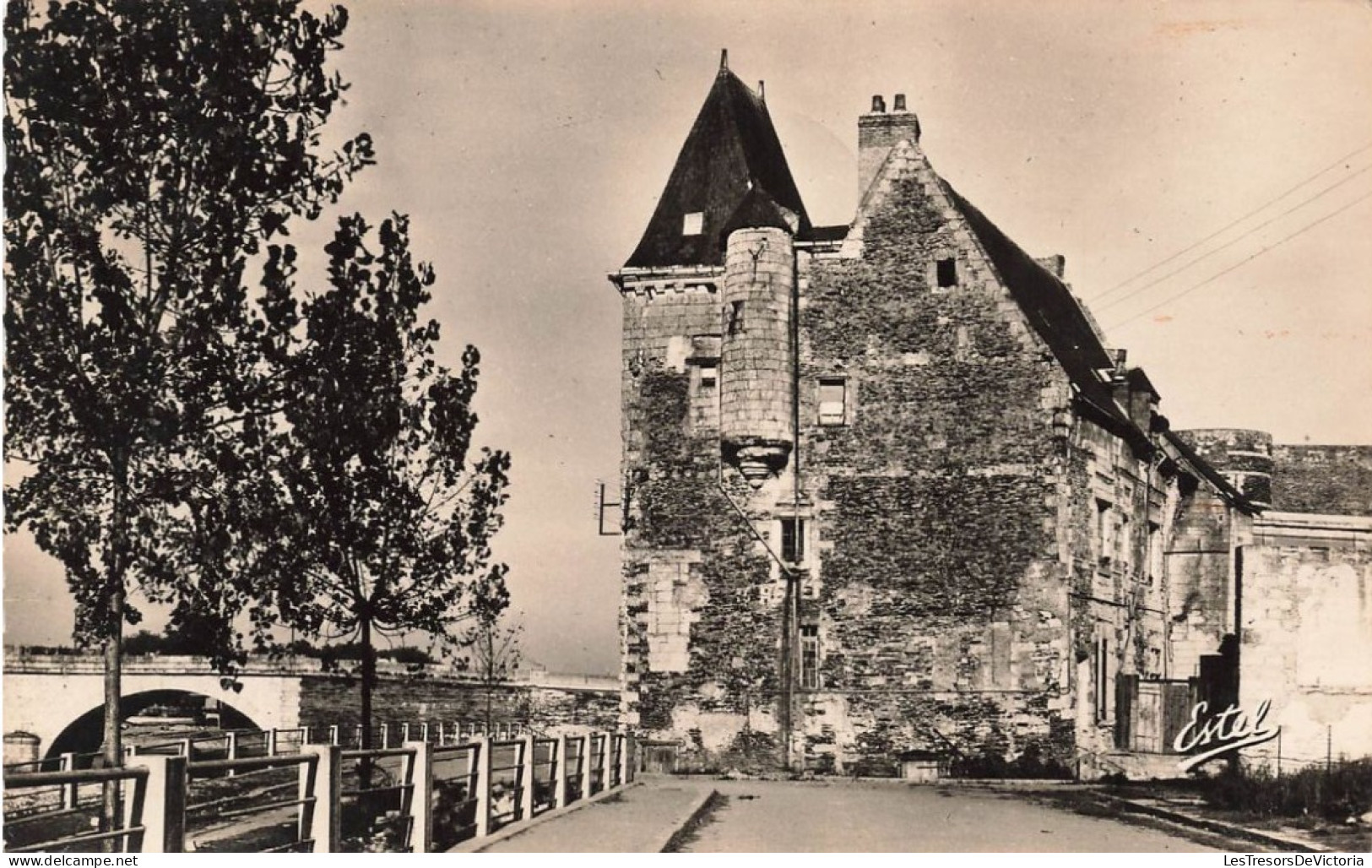 FRANCE - Angers - Le Château Du Roi De Pologne - Carte Postale - Angers