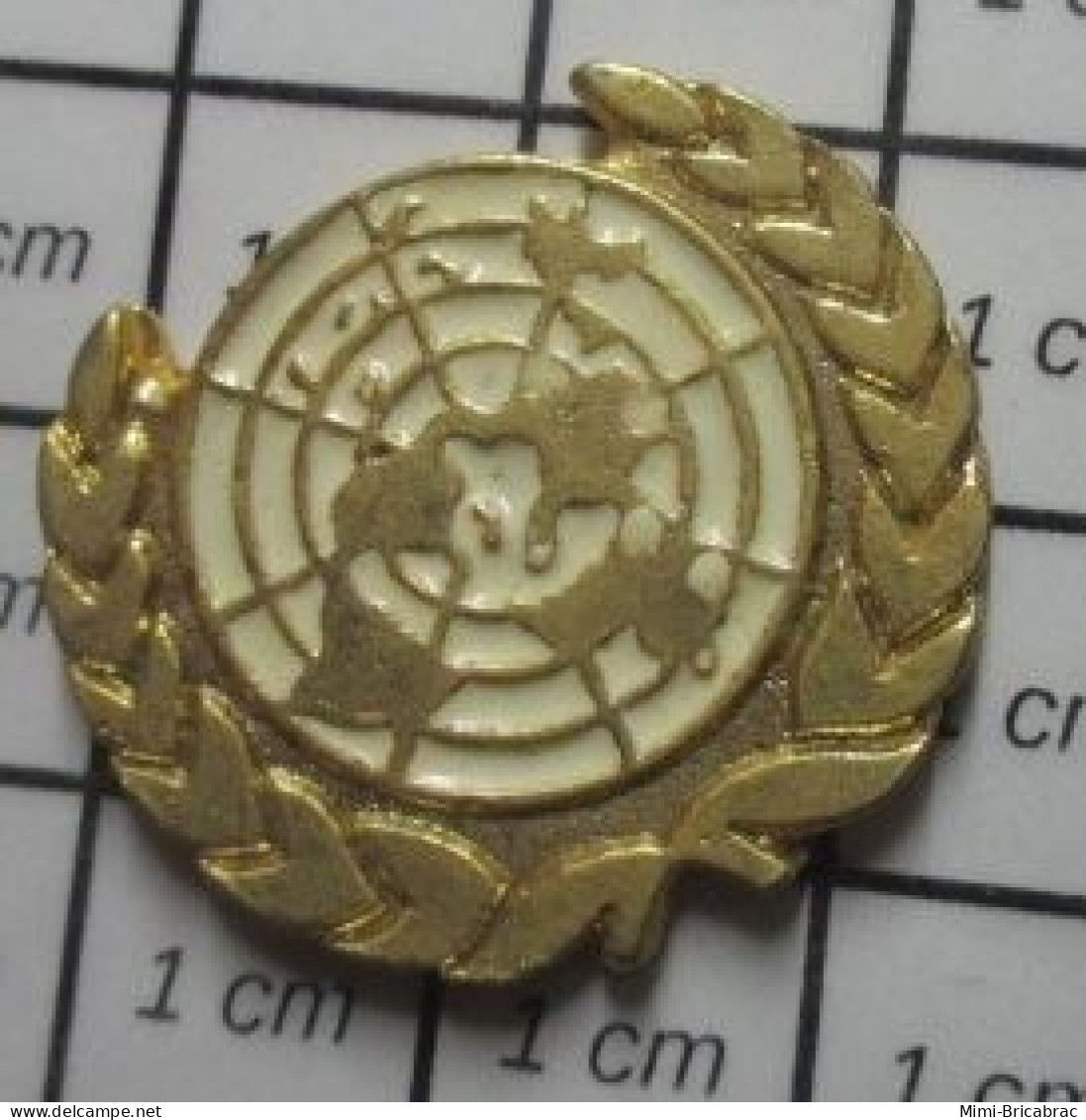 1618B Pin's Pins / Beau Et Rare / ADMINISTRATIONS / Telle Couteuse Et Si Peu Efficace L'ONU Vous L'avez Reconnue ! - Administración