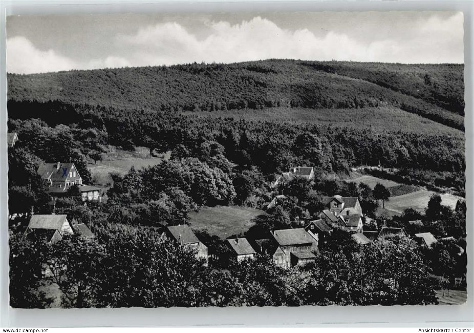 51040302 - Vielbrunn , Odenw - Michelstadt