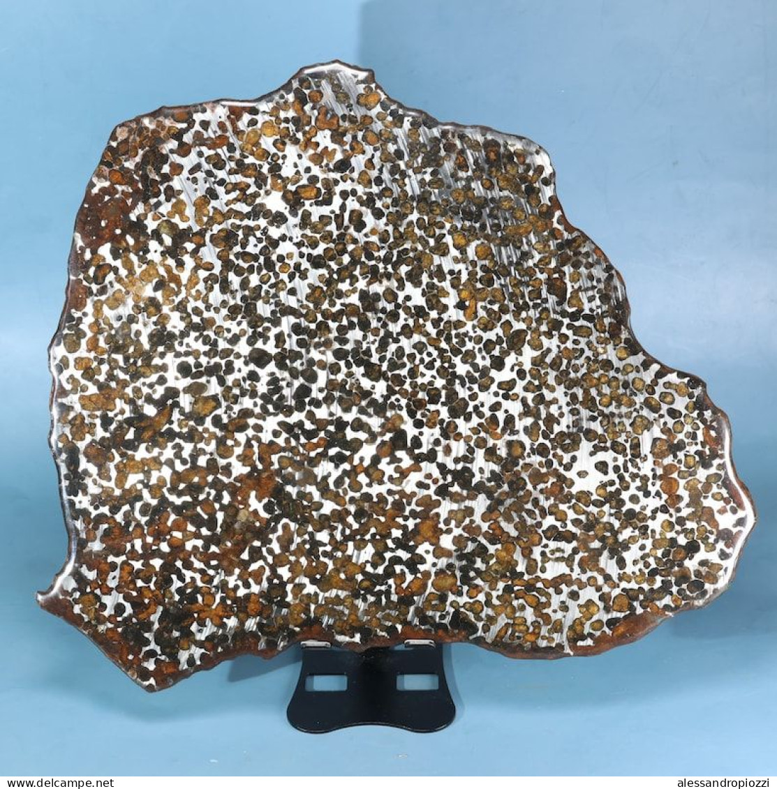 Meteorite Pallasite 823 Gr - Archaeology