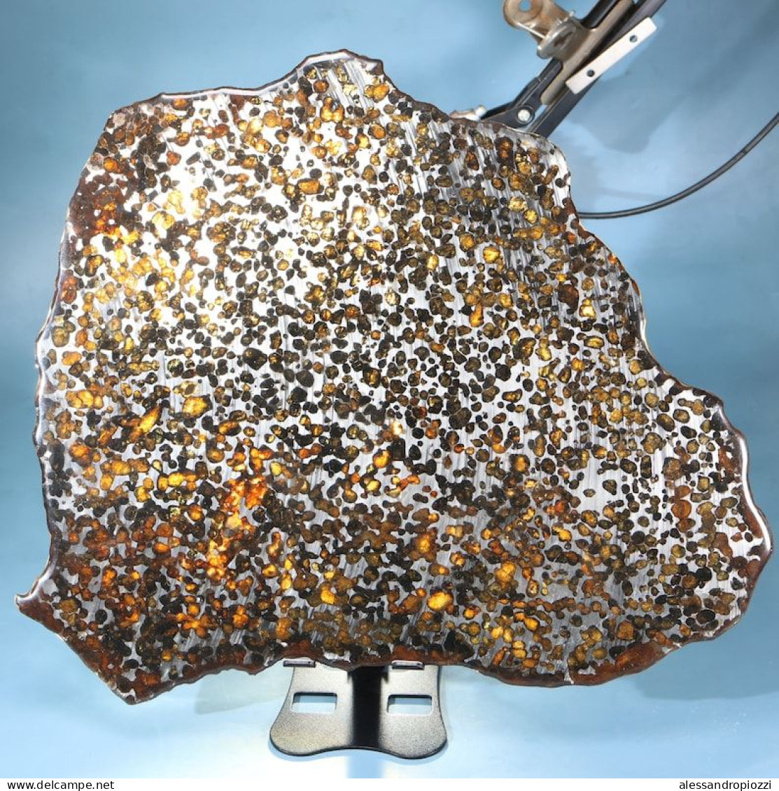 Meteorite Pallasite 823 gr