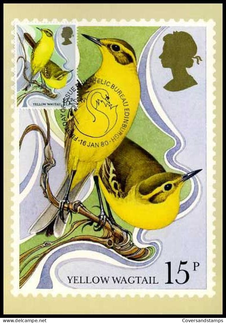 Groot-Britannië - MK - Yellow Wagtail                               - Maximumkaarten