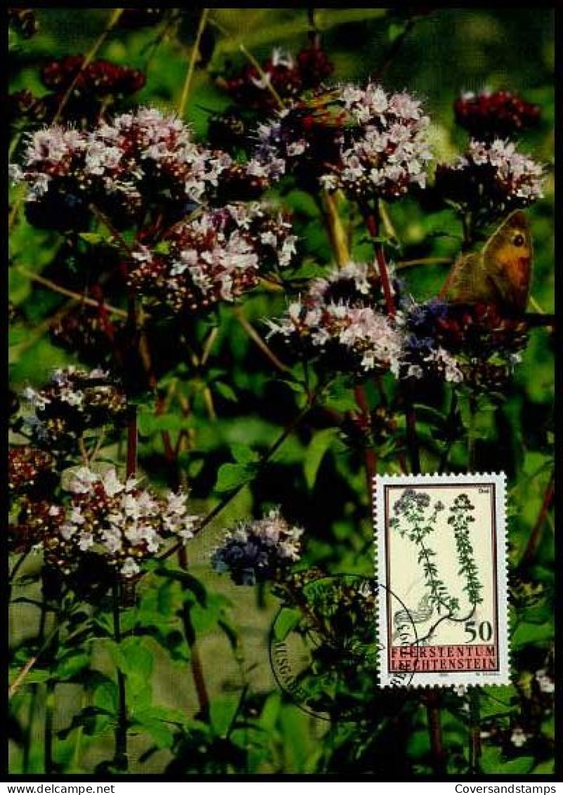 Liechtenstein - MK - Bloemen                                 - Cartes-Maximum (CM)