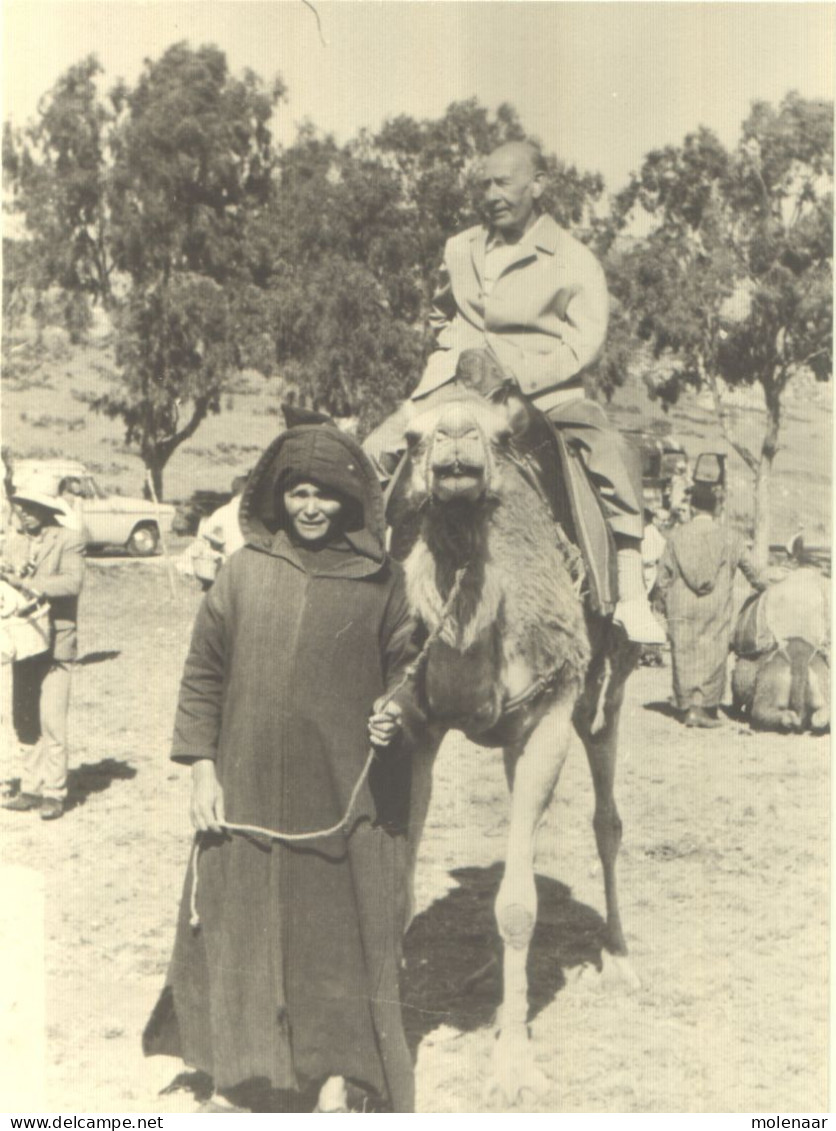 Postzegels > Azië > Verenigde Arabische Emiraten > Abu Dhabi Briefje Met Foto (16772) - Abu Dhabi