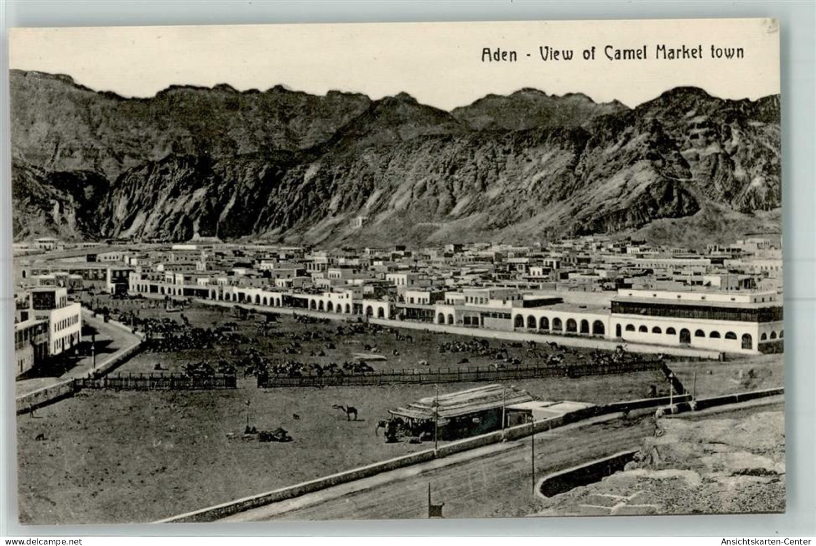 52215202 - Aden - Yemen