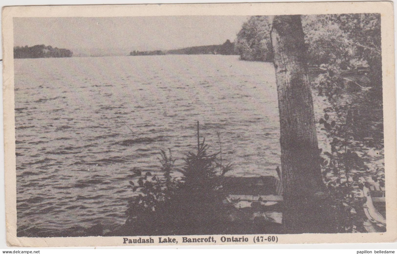 Canada Ontario   Bancroft  Paudash Lake - Autres & Non Classés