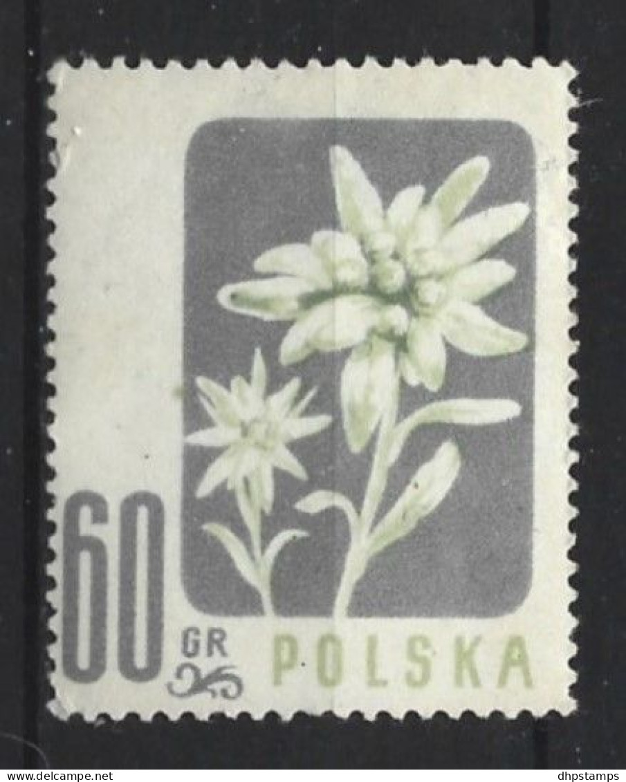 Polen 1957 Flowers Y.T. 906 (0) - Used Stamps