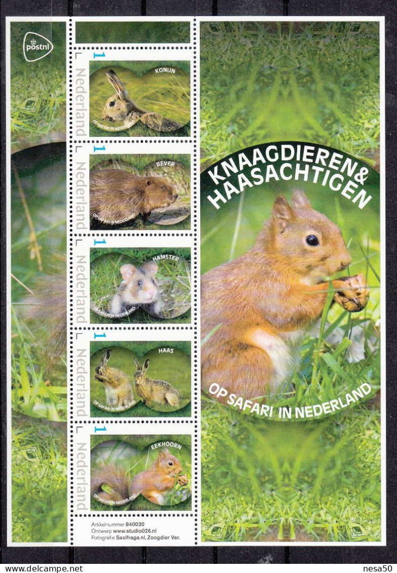 Nederland Persoonlijke: Op Safari In Nederland: Knaagdieren, Konijn, Bever, Hamster, Haas, Eekhoorn, Rabbit, Beaver, - Unused Stamps