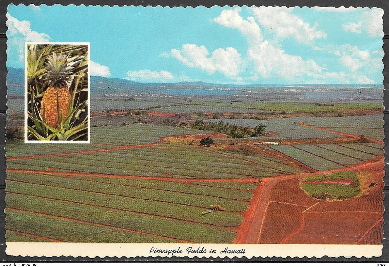 Hawaii, Oahu, Pineapple Fields, Unused - Oahu