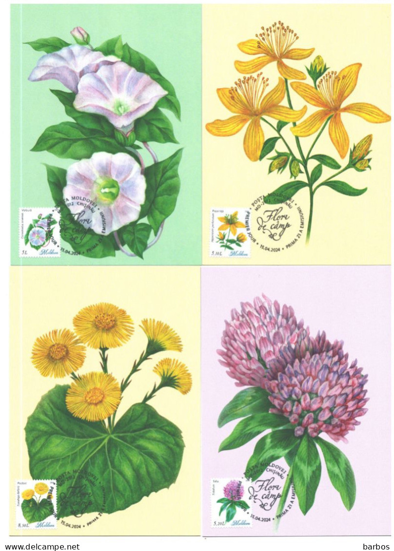 2024 , Moldova , Wild Flowers, Flora, Set 6 Maxicards - Moldavië