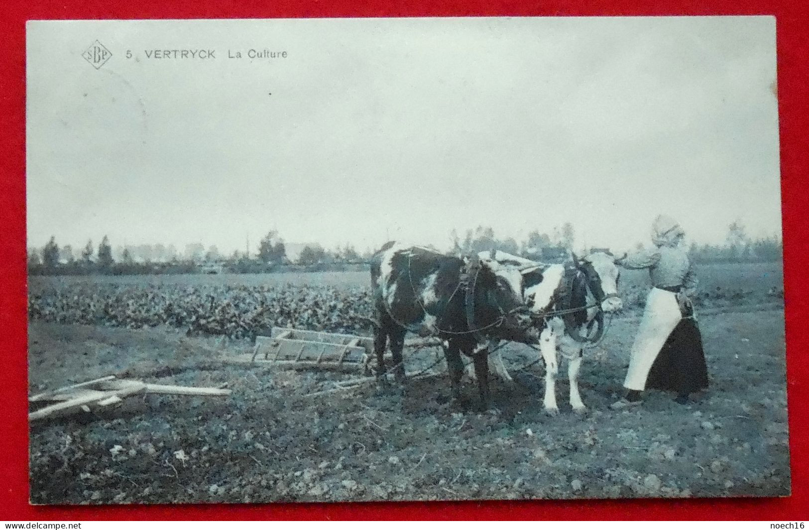 CPA Bleutée 1911 SBP. Vertijk Vertryck. La Culture - Boutersem