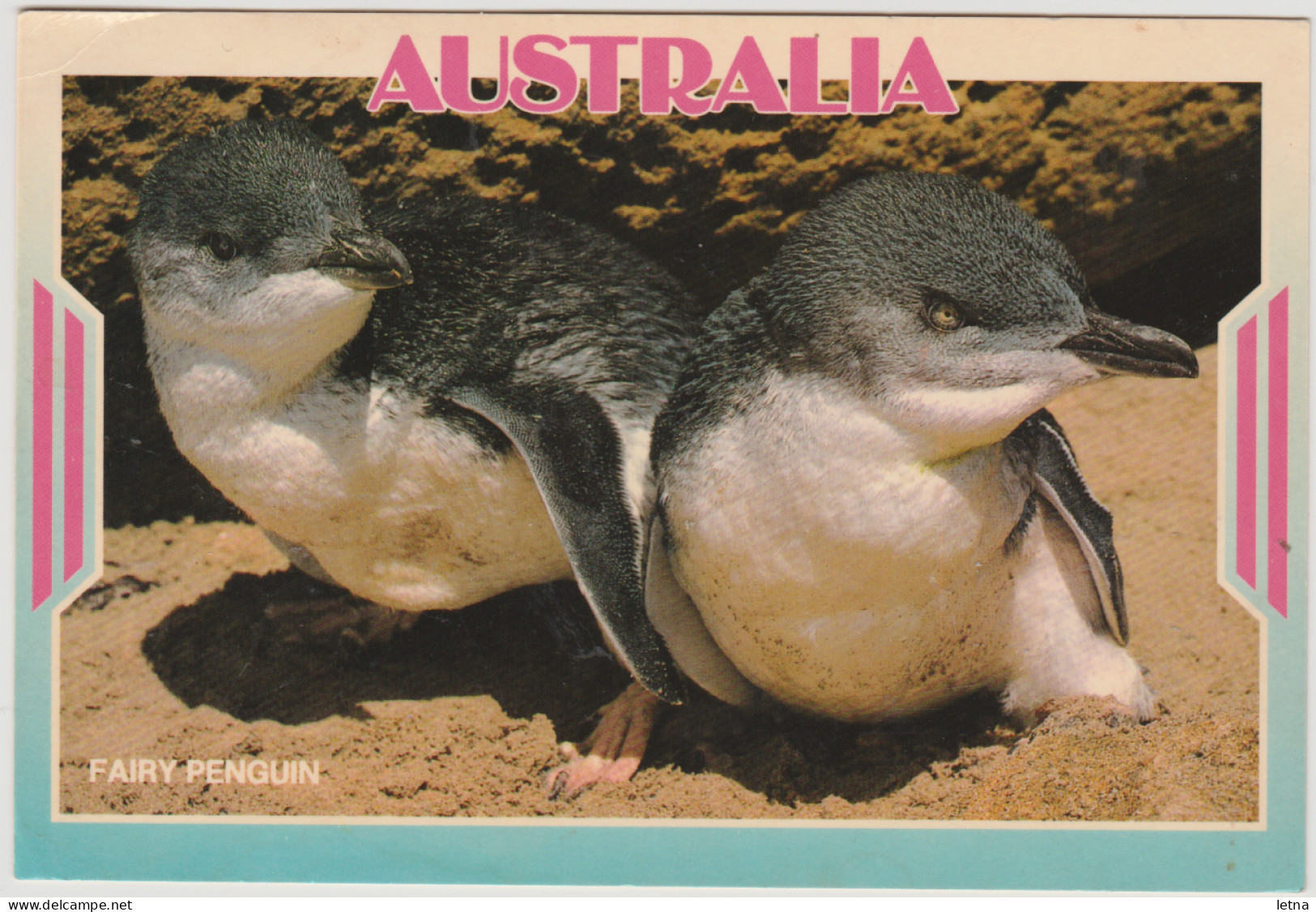 Australia VICTORIA VIC Cute Fairy Penguins PHILLIP ISLAND Hughes AG86 Postcard 1995 60c/40c Stamps - Autres & Non Classés