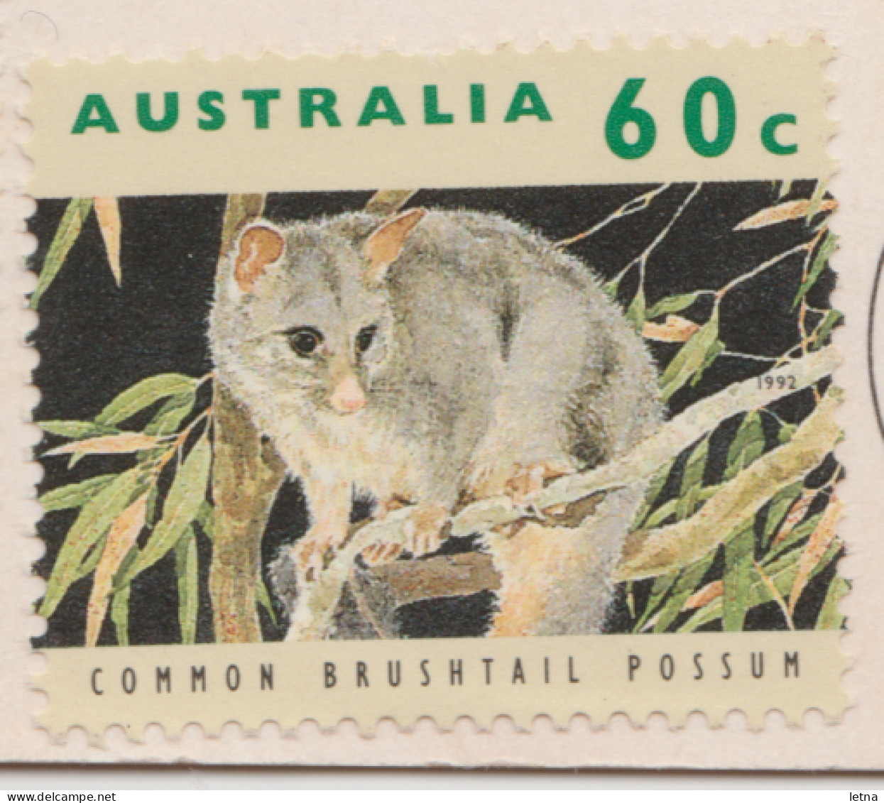 Australia VICTORIA VIC Cute Fairy Penguins PHILLIP ISLAND Hughes AG86 Postcard 1995 60c/40c Stamps - Sonstige & Ohne Zuordnung