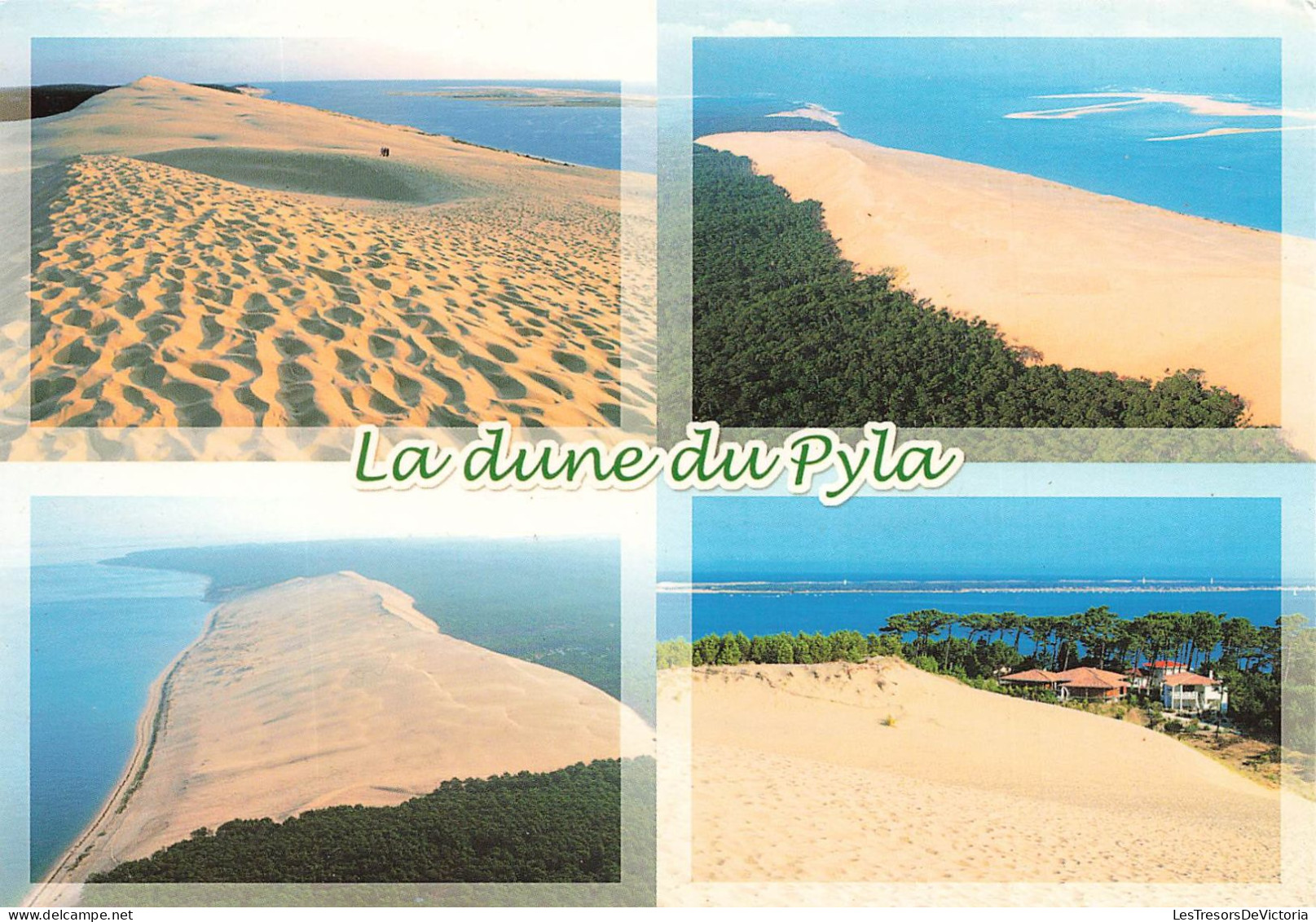 FRANCE - Arcachon - Bassin D'Arcachon - La Dune Du Pyla - Carte Postale - Arcachon