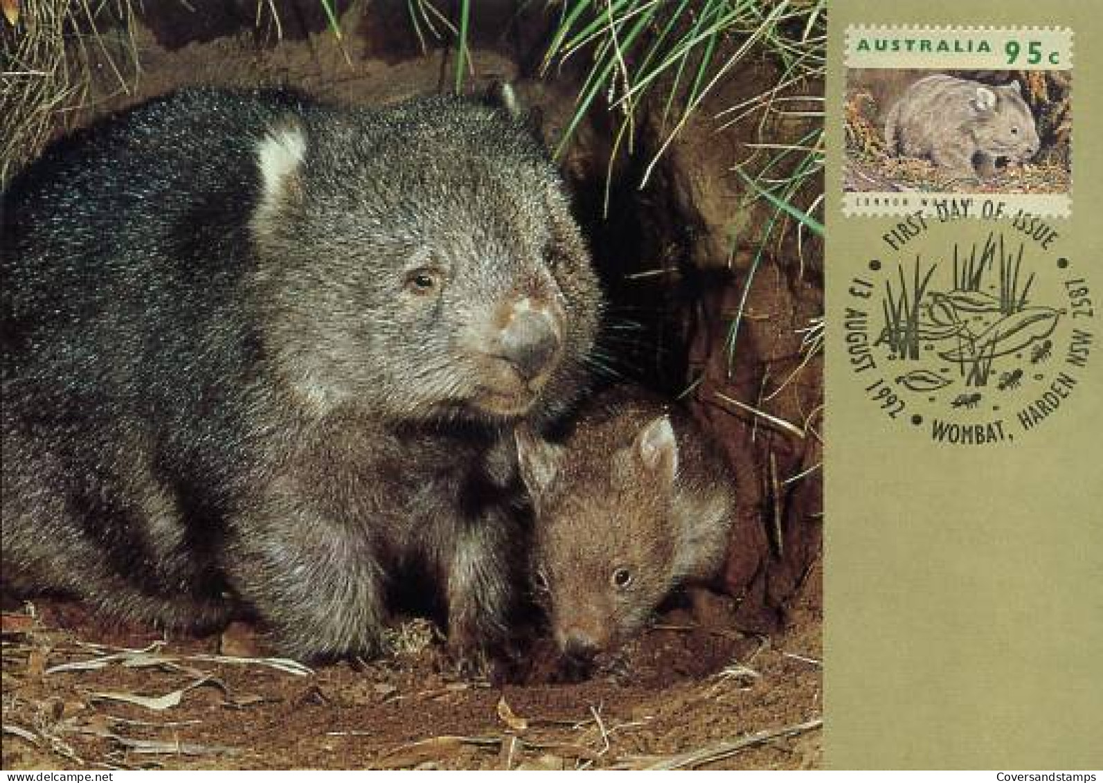Australië  - MK - Australian Wildlife )                            - Cartas Máxima