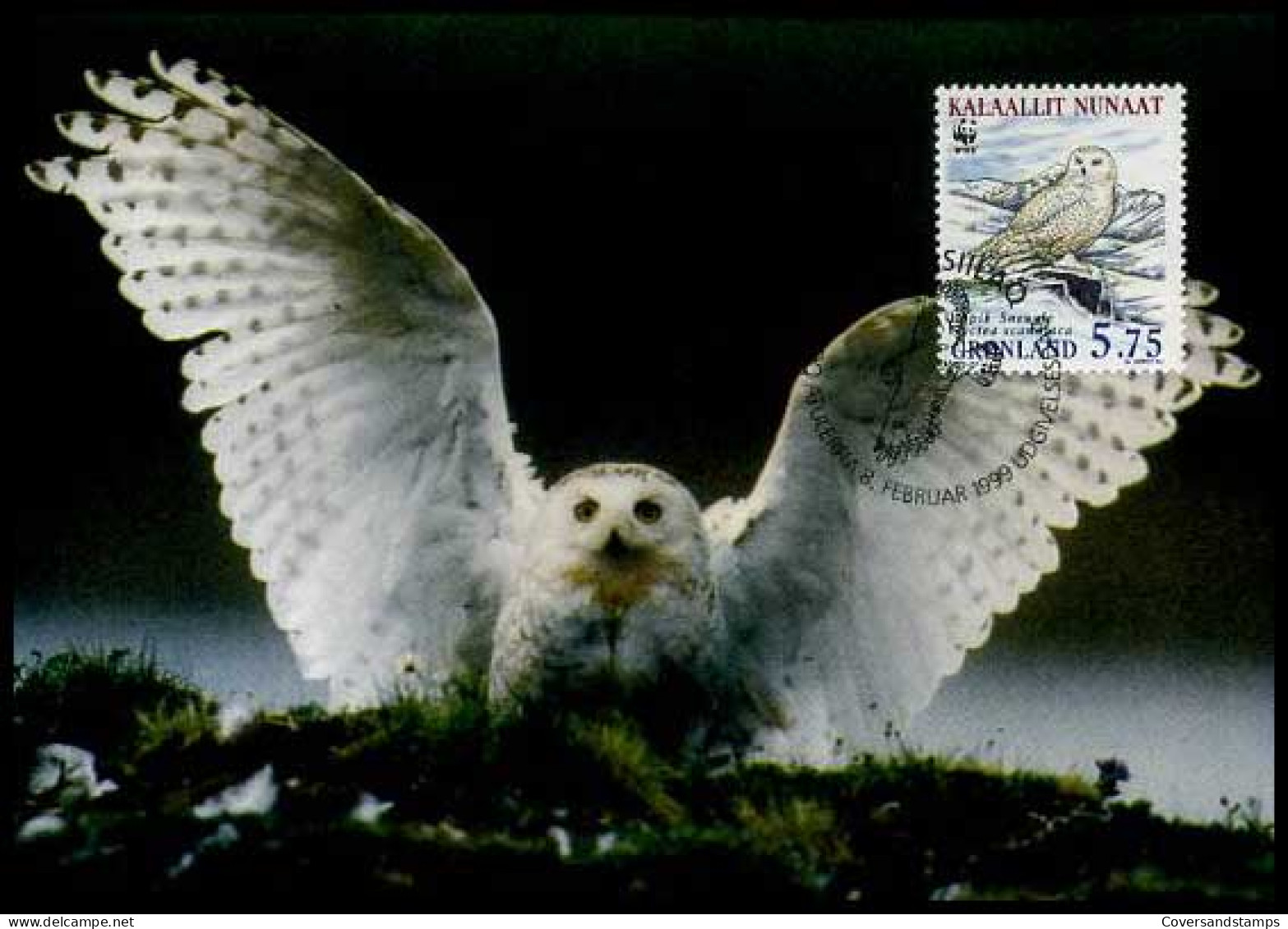 Groenland - FDC - Uil (owl)                                  - Andere & Zonder Classificatie