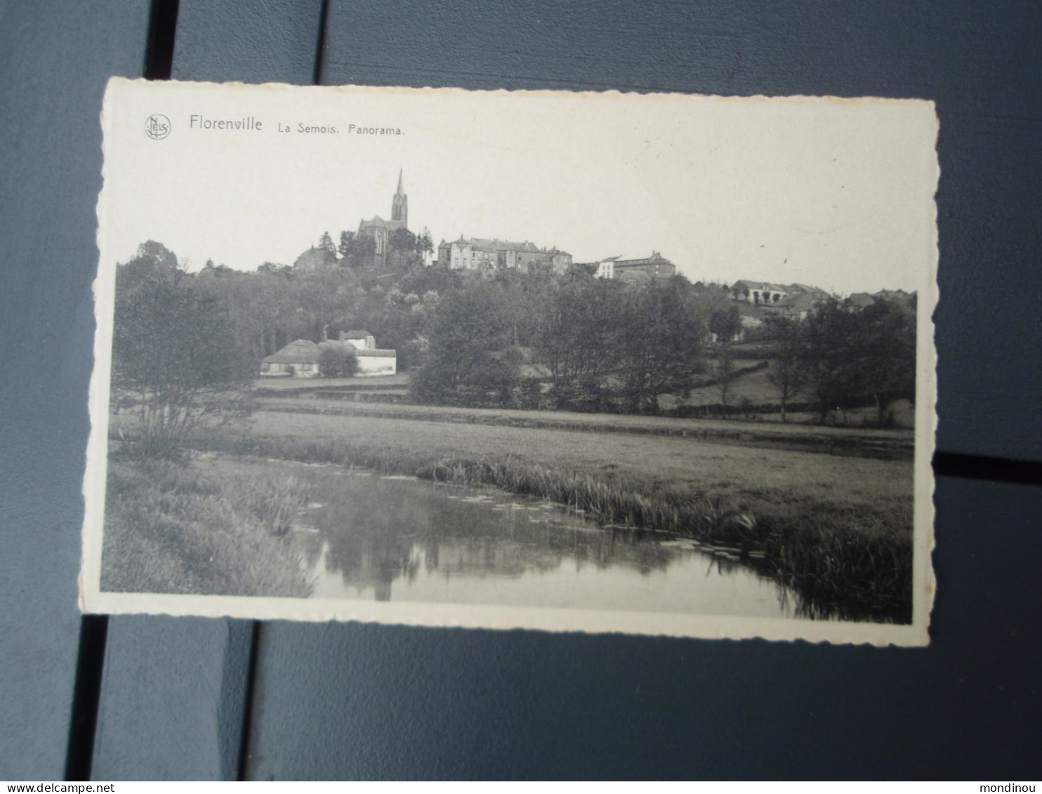 Cp   Florenville Le Semois. Panorama. 1980 - Florenville