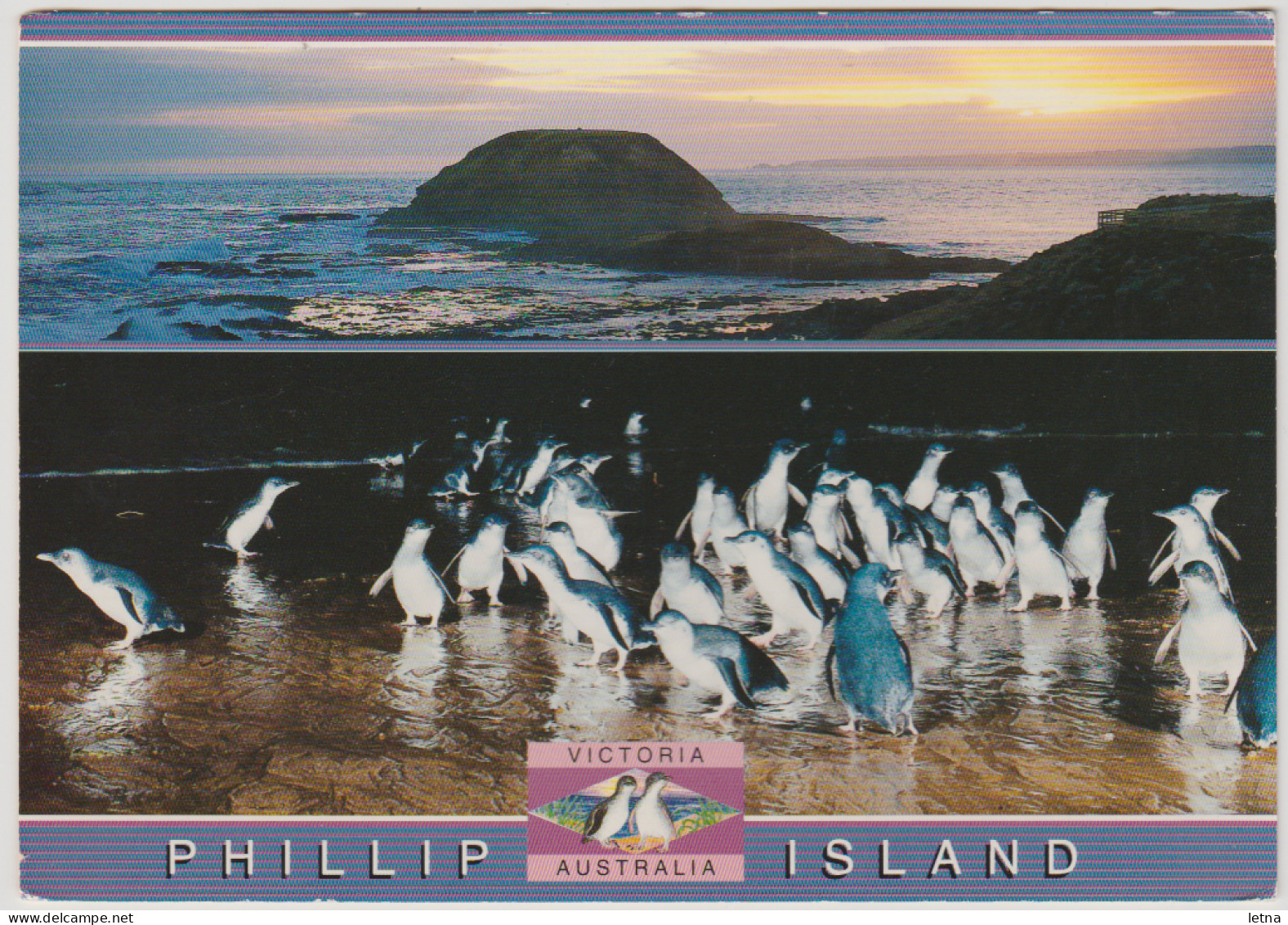 Australia VICTORIA VIC Penguins & Nobbies PHILLIP ISLAND Scancolor SCC1198 Postcard 1995 $1 Fun Run Stamp - Otros & Sin Clasificación