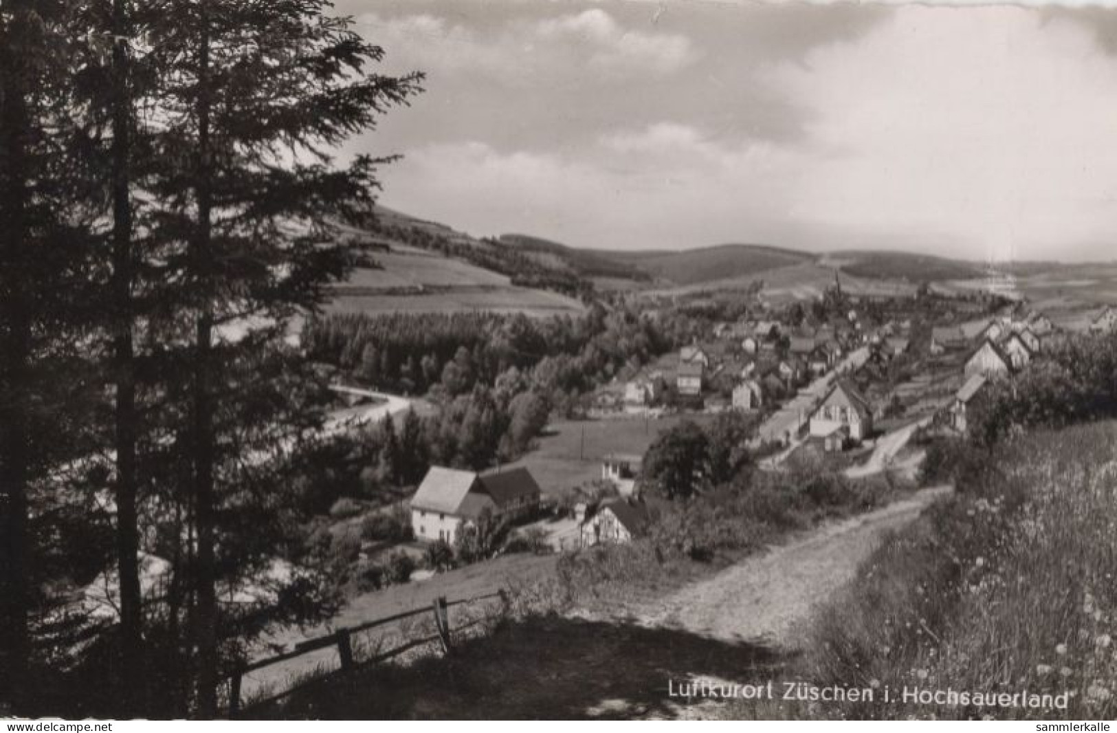 124106 - Züschen (OT Von Winterberg) - Ansicht - Winterberg