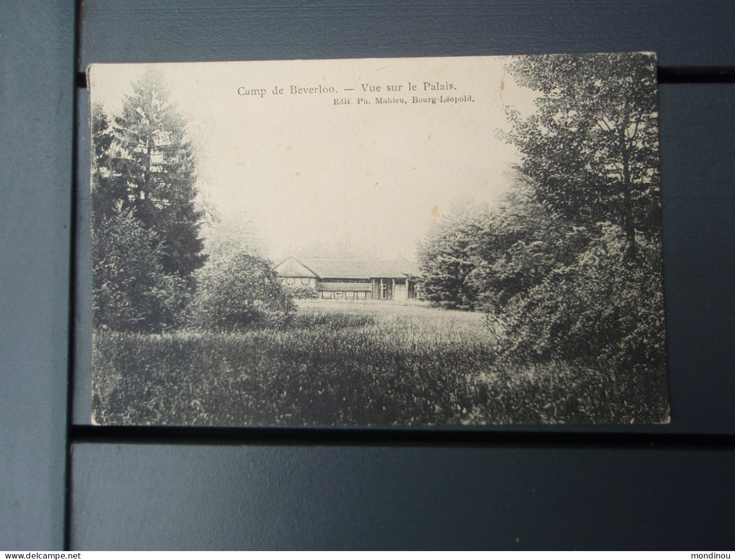 Cpa Camp De Beverloo - Vue Sur Le Palais. - Leopoldsburg (Kamp Van Beverloo)