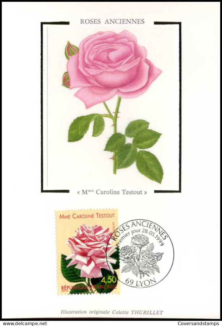 Frankrijk - MK - Roses Anciennes : Mme Caroline Testout                         - Otros & Sin Clasificación