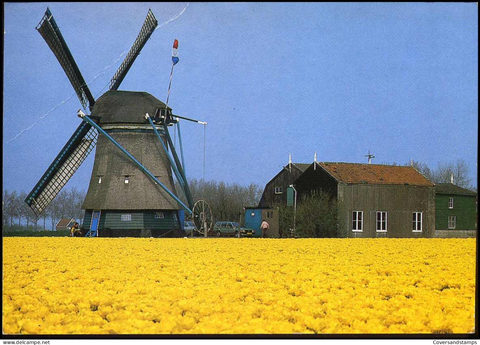 Windmolen / Windmill - Moulins à Vent