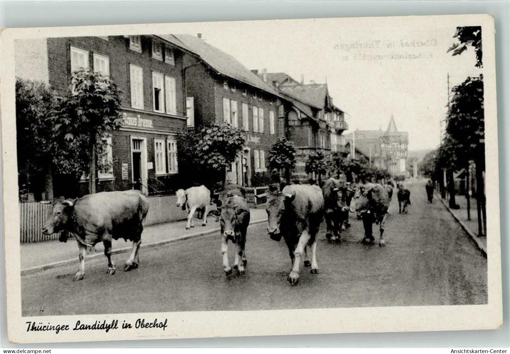 39359102 - Oberhof , Thueringen - Oberhof