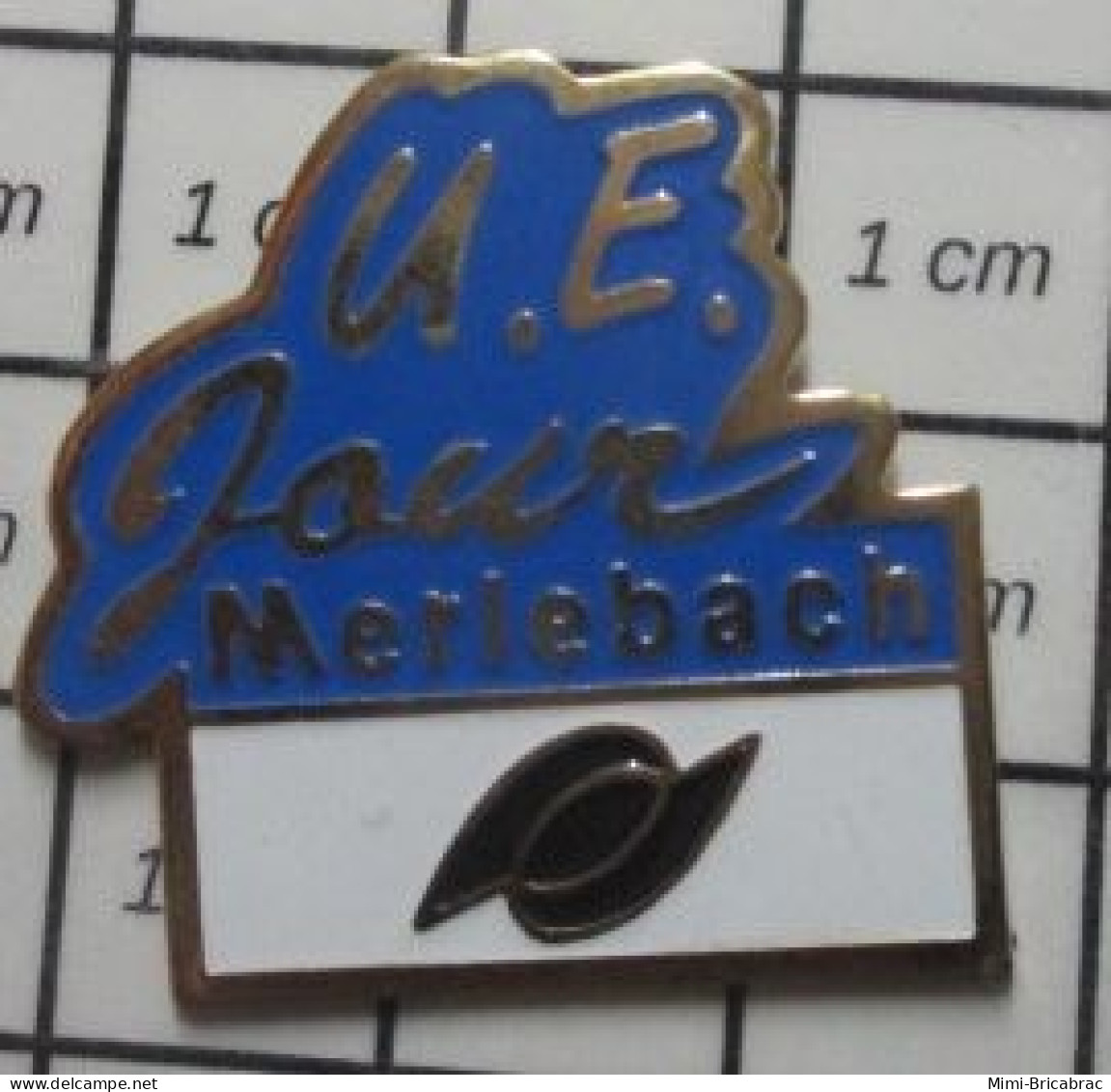 1618B  Pin's Pins / Beau Et Rare / THEME MARQUES / UE JOUR MERLEBACH - Marques