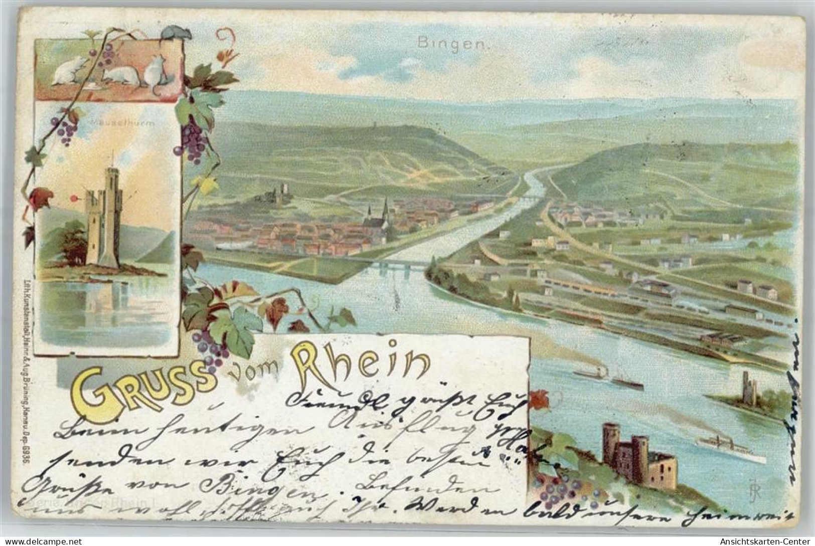 51487202 - Bingen Am Rhein - Bingen