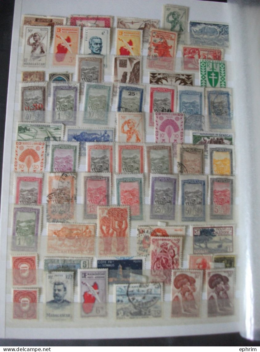 Colonies Françaises Collection en Album Schaubek 64 Pages Plusieurs Milliers Timbres Neufs / Oblitérés Lot Timbre Ancien