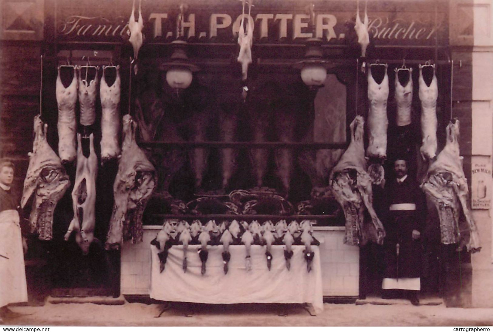 South London Croydon Continental Size 10 X 14 Cm Repro Photo T.H. Potter Butcher Shop - Europe