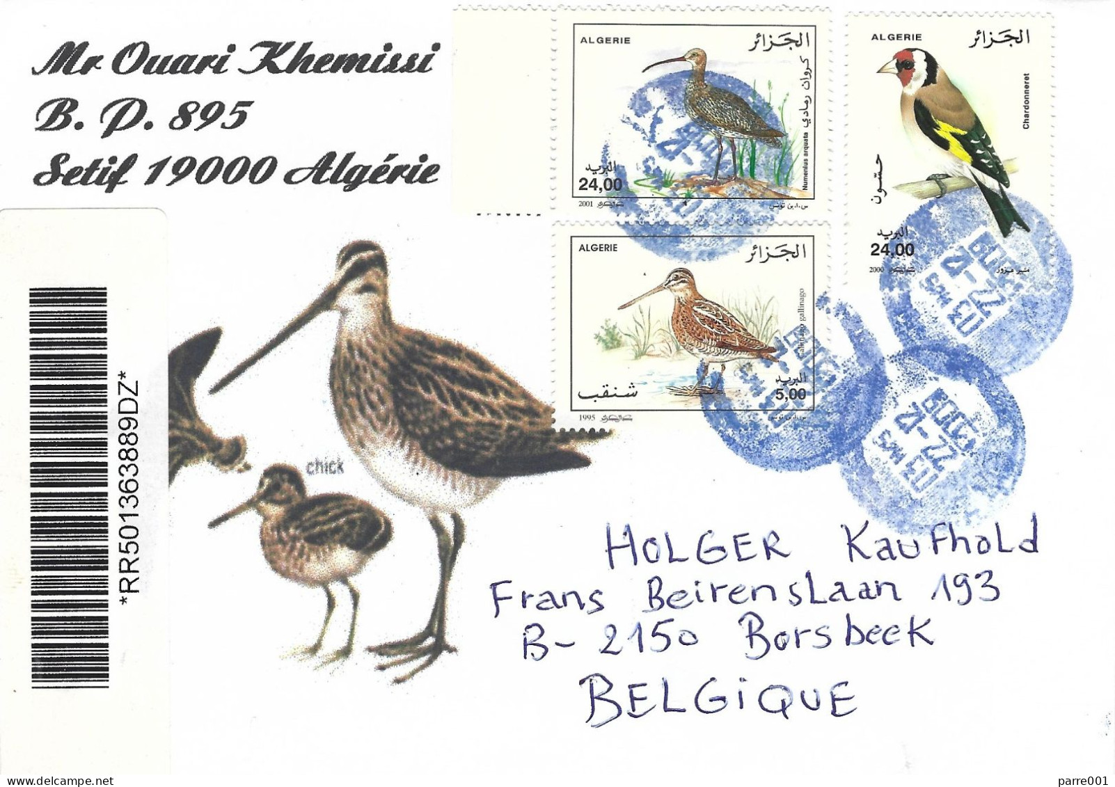 Algeria Algerie 2009 Alger Gold Finch Common Curlew Numenius Arquata Registered Cover - Pájaros Cantores (Passeri)