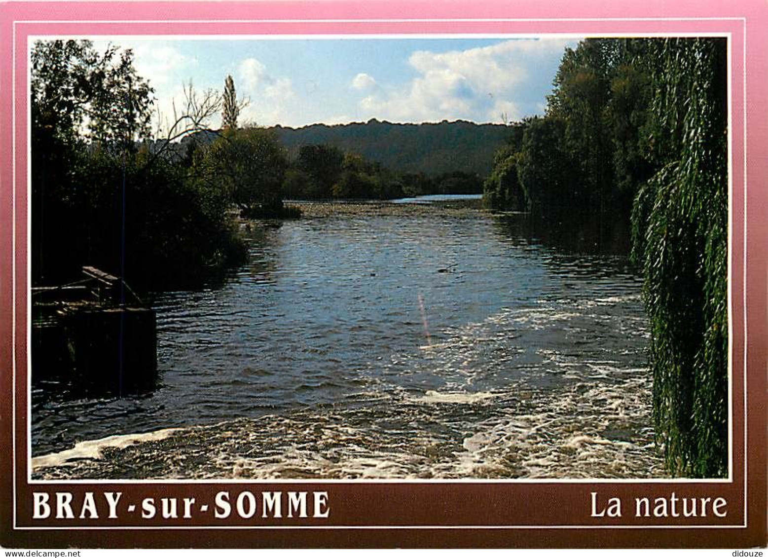 80 - Bray Sur Somme - CPM - Voir Scans Recto-Verso - Bray Sur Somme