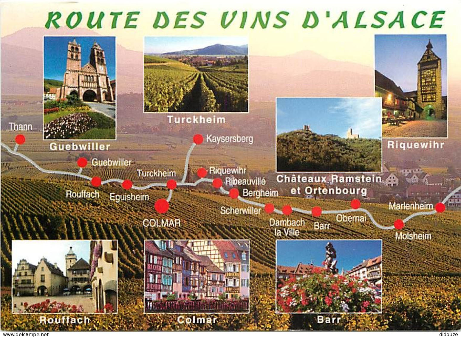 Vignes - Alsace - Multivues - La Route Du Vin - Carte Géographique - CPM - Carte Neuve - Voir Scans Recto-Verso - Wijnbouw