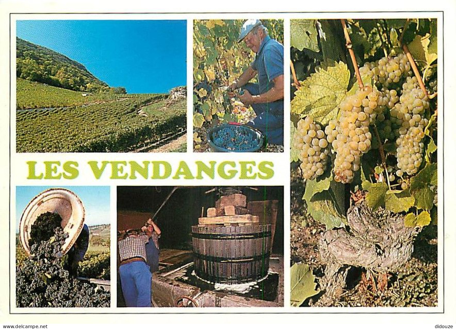 Vignes - Vendanges - Multivues - CPM - Flamme Postale - Voir Scans Recto-Verso - Viñedos
