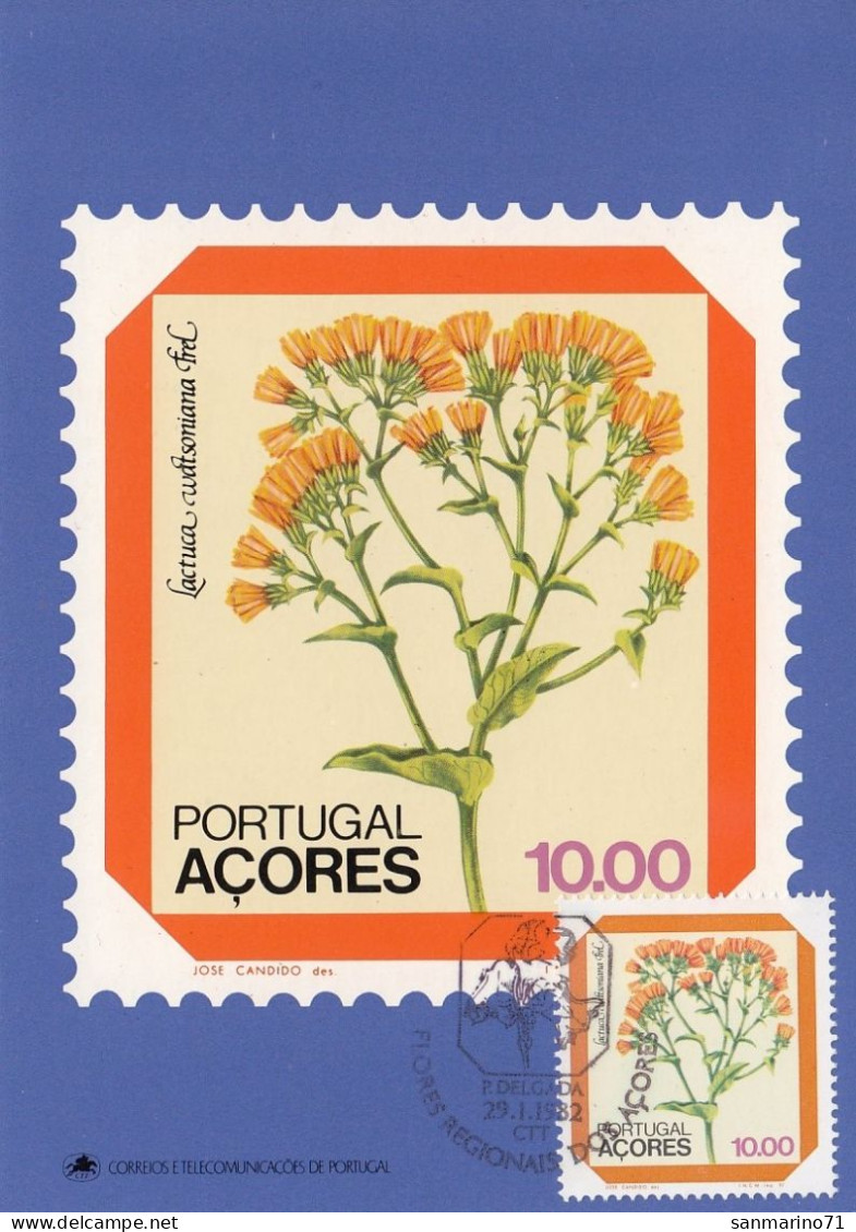 PORTUGAL Azores Maximum Card 350,flowers - Azores