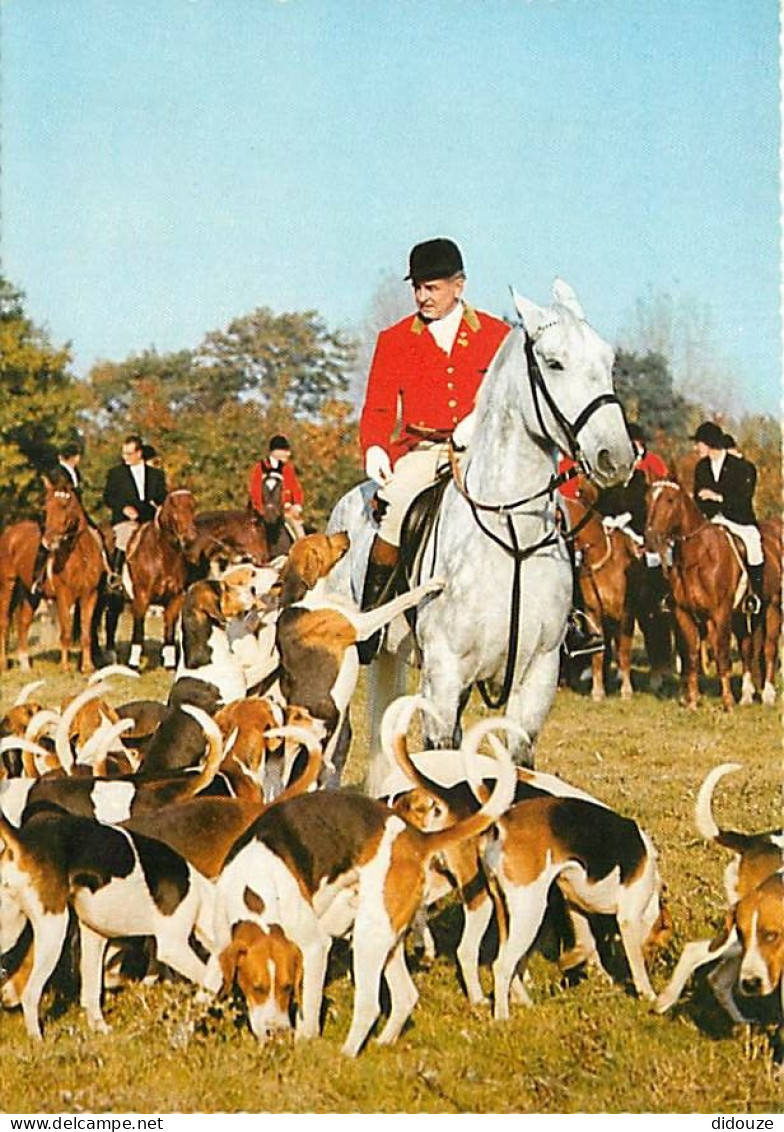 Animaux - Chevaux - Chasse à Courre - Chiens - CPM - Voir Scans Recto-Verso - Chevaux