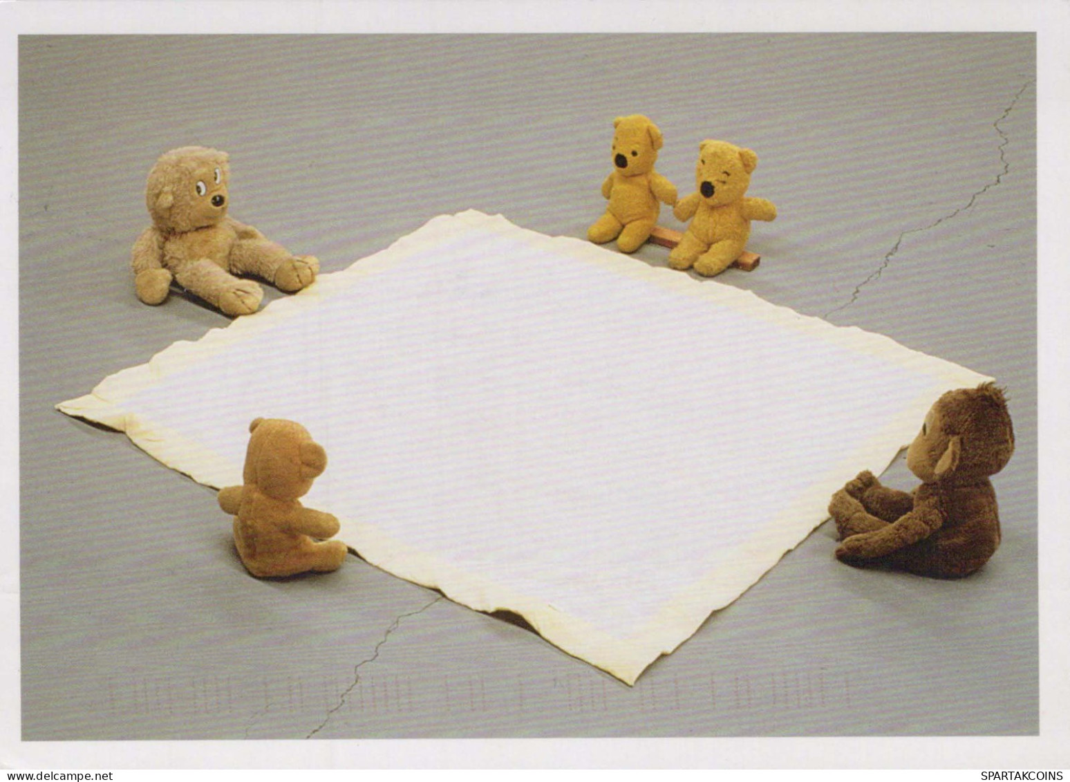 BEAR Animals Vintage Postcard CPSM #PBS095.A - Orsi