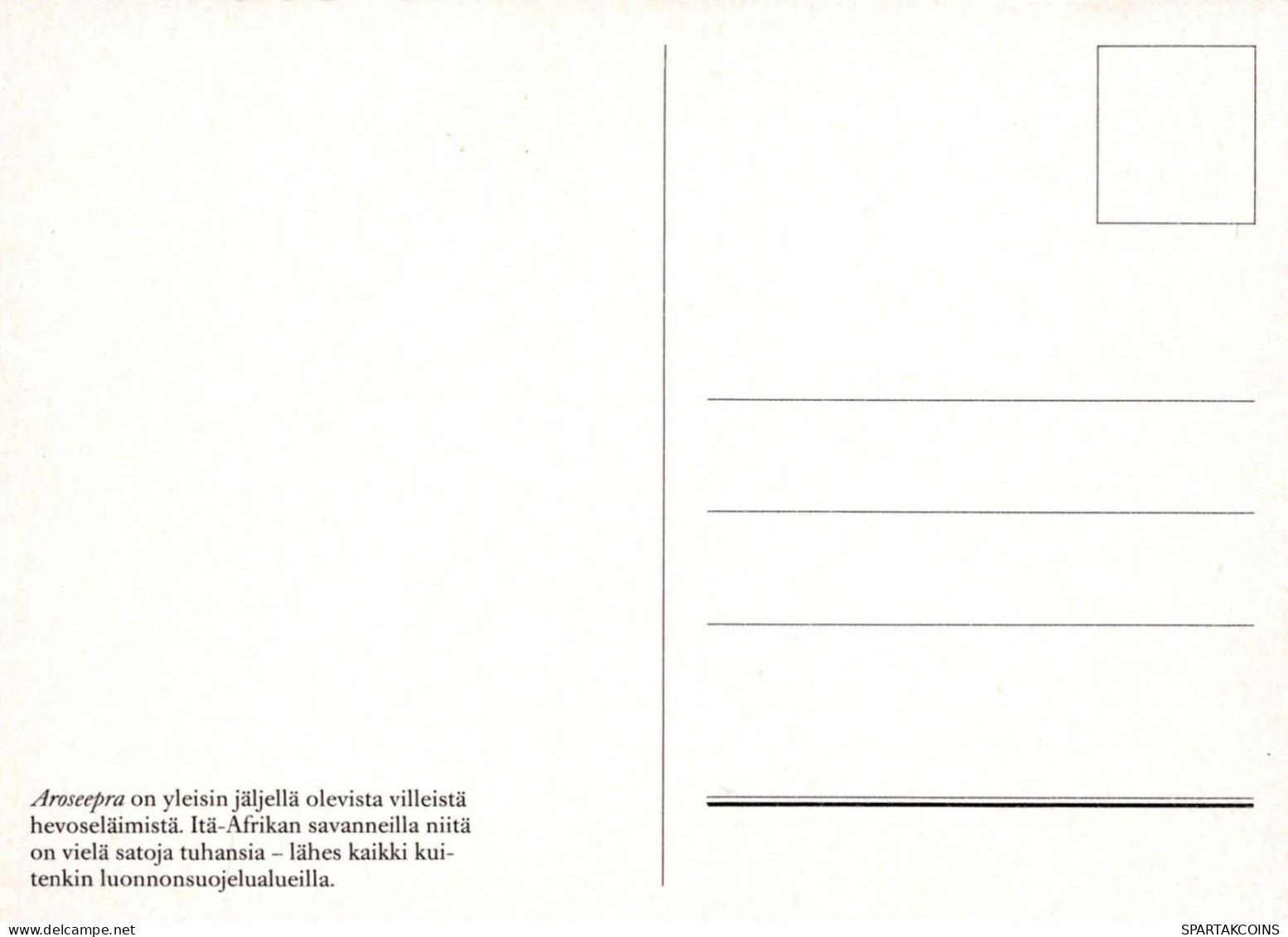 CABALLO Animales Vintage Tarjeta Postal CPSM #PBR850.A - Chevaux