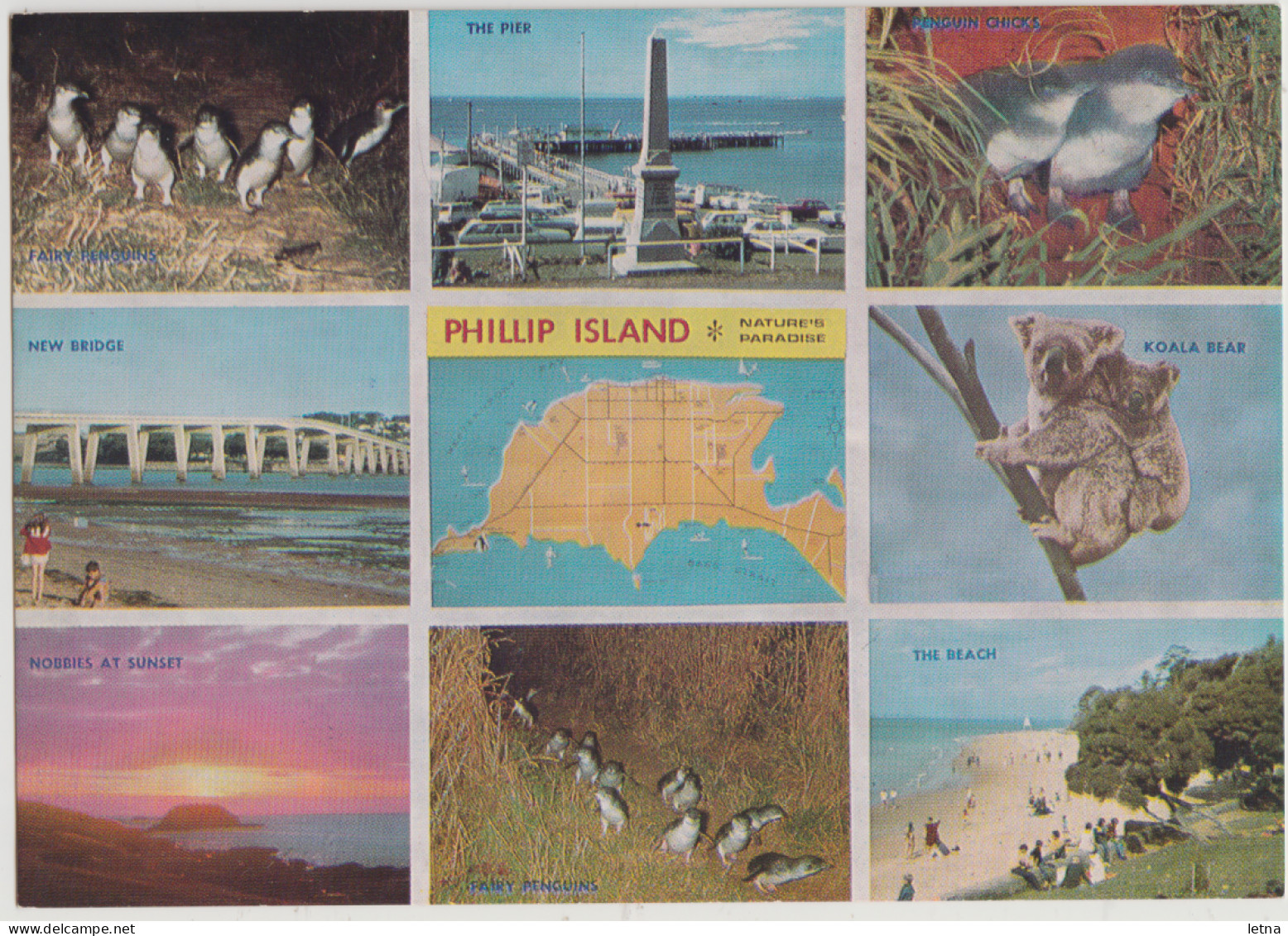 Australia VICTORIA VIC Penguins Koalas Bridge Map Beach PHILLIP ISLAND Rose No859 Postcard C1970s - Sonstige & Ohne Zuordnung