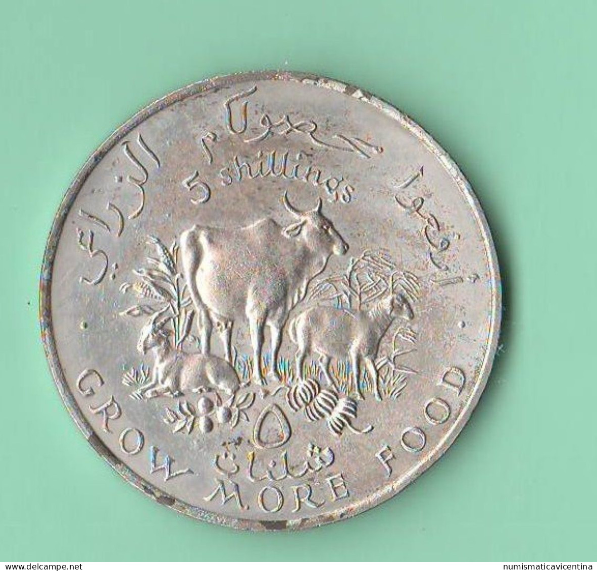 FAO Somalia 10 Shillings 1970 Somalie - Somalia