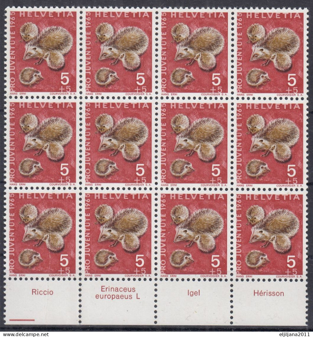 Switzerland / Helvetia / Schweiz / Suisse 1965 ⁕ Pro Juventute Mi.826 X12 ⁕ MNH Block - Unused Stamps